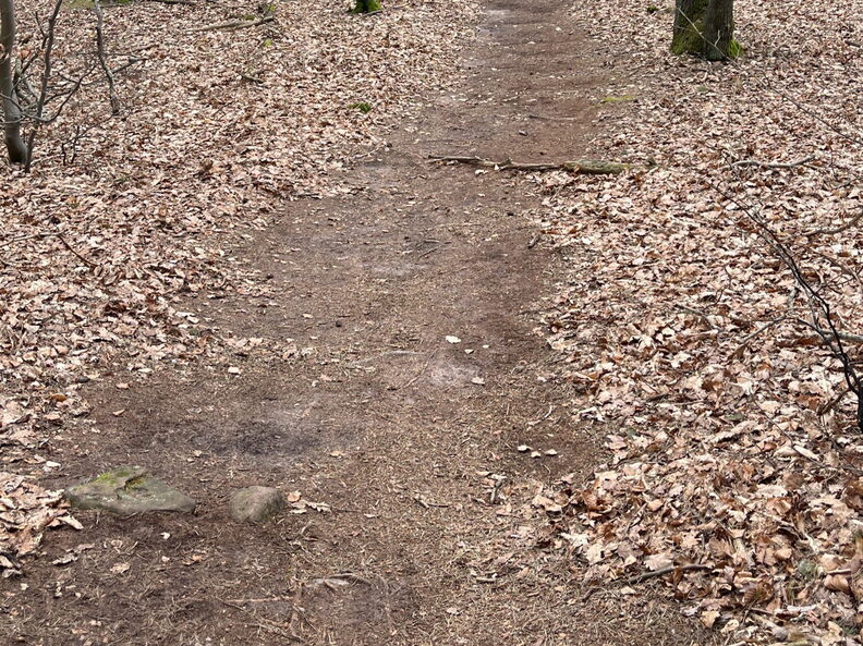 23-03-05 11-58-43 4748